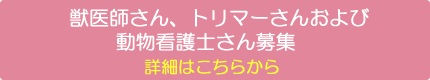 獣医師さん、トリマーさんおよび動物看護士さん急募